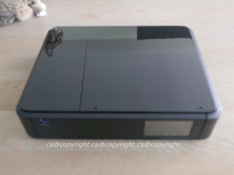 PS Audio Perfectwave Directstream DAC + network bridge II, Ophalen of Verzenden, Gebruikt