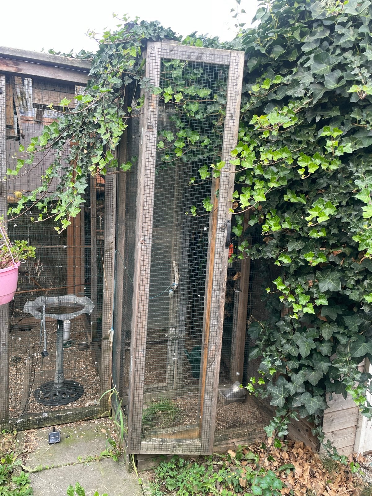 Voliere 2.5 x 2 gratis ophalen zelf demonteren, Ophalen