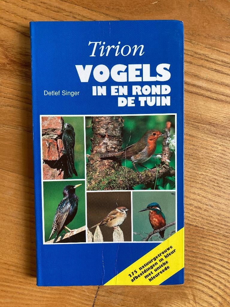 Boek Vogels in en rond de tuin - Detlef Singer, Ophalen of Verzenden, Gelezen, Vogels