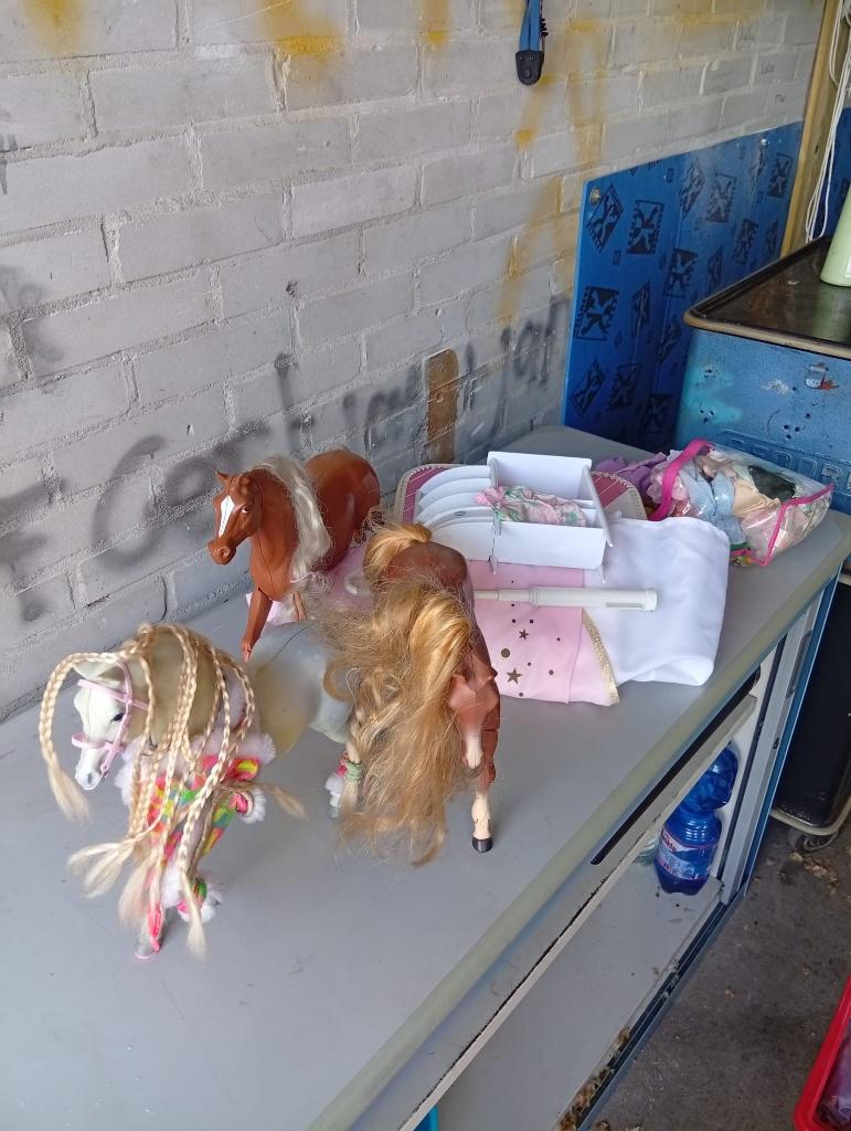 barbie poppen en accesoires, Ophalen, Gebruikt, Barbie