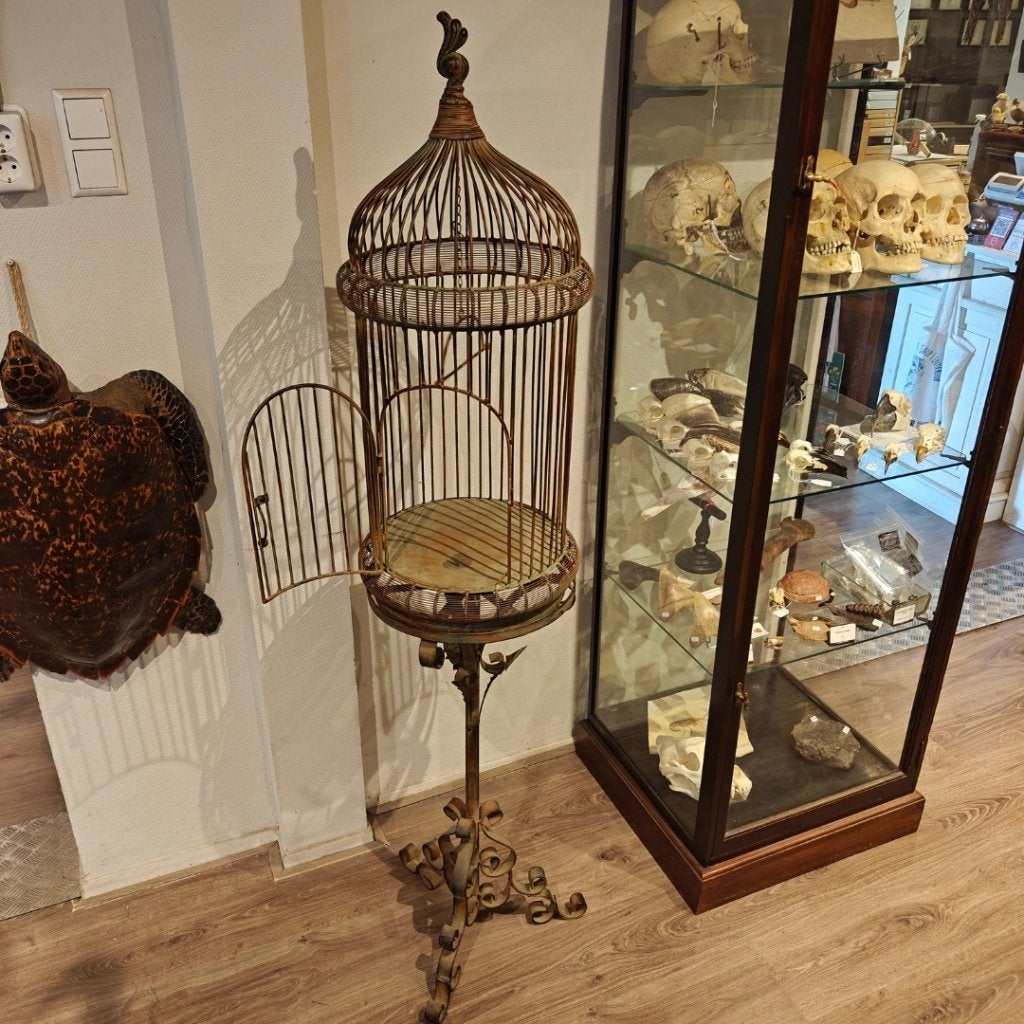 Antiek vogelhok op standaard, Dieren en Toebehoren, Ophalen of Verzenden, Zo goed als nieuw, Metaal, Vogelkooi