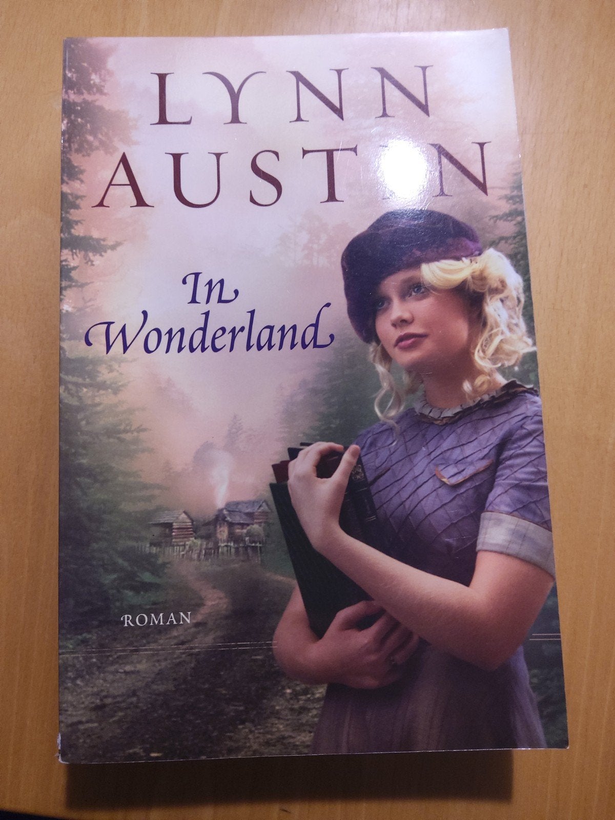 In Wonderland - Lynn Austin (Roman), Ophalen of Verzenden, Zo goed als nieuw, Lynn Austin, Nederland
