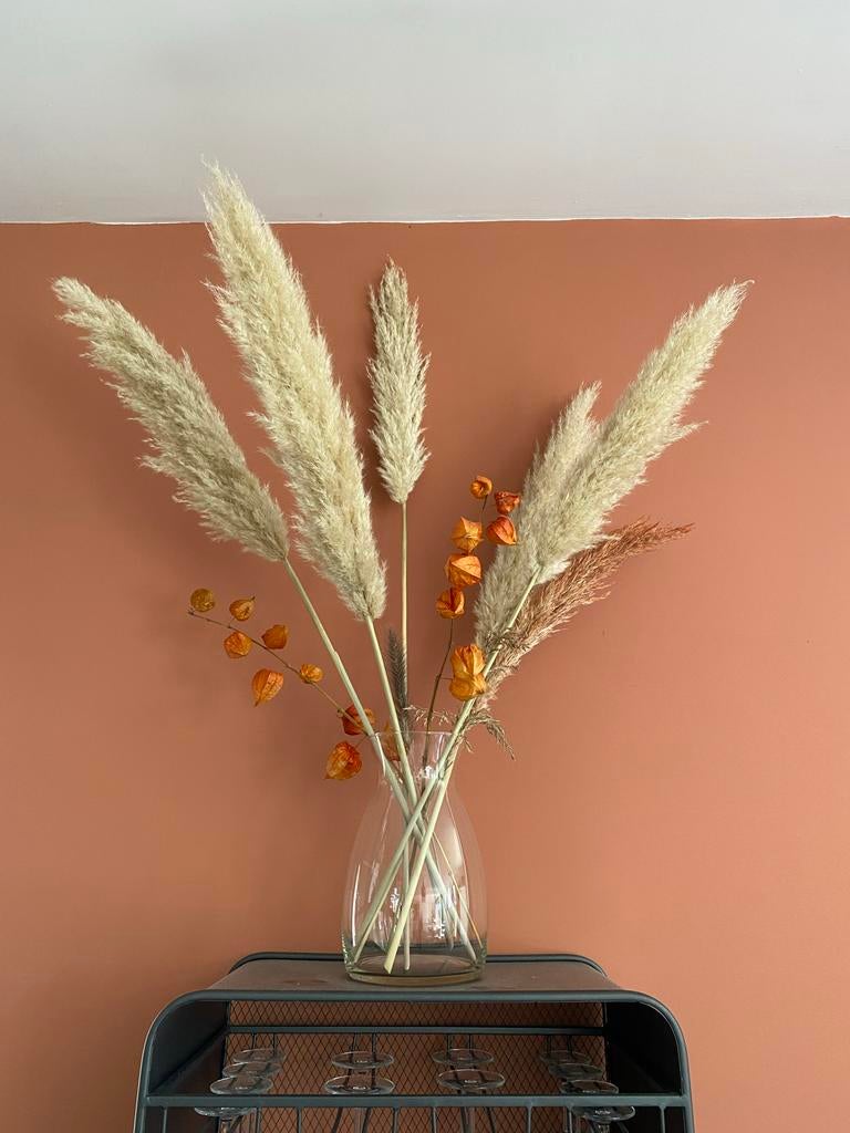 Decoratieve pluimen en lampionnetjes (ex vaas in overleg), Ophalen, Beige, Boho, Zo goed als nieuw