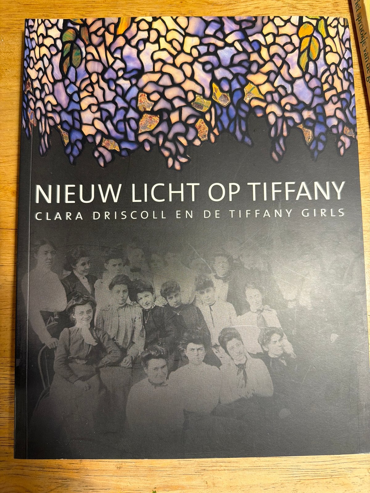 Nieuw Licht op Tiffany: Clara Driscoll en de Tiffany Girls, Ophalen of Verzenden, Zo goed als nieuw, Overige onderwerpen