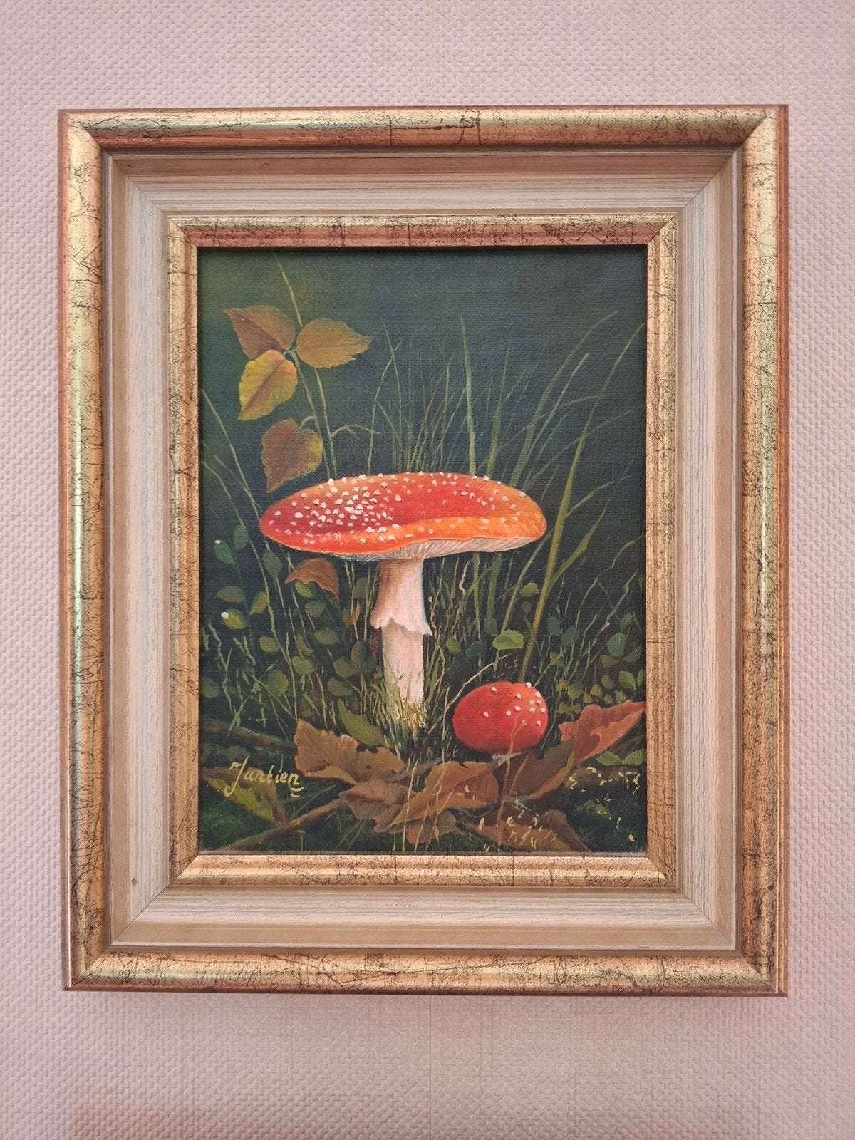 Schilderijtjes van Paddestoelen, Antiek en Kunst, Kunst | Schilderijen | Klassiek, Ophalen