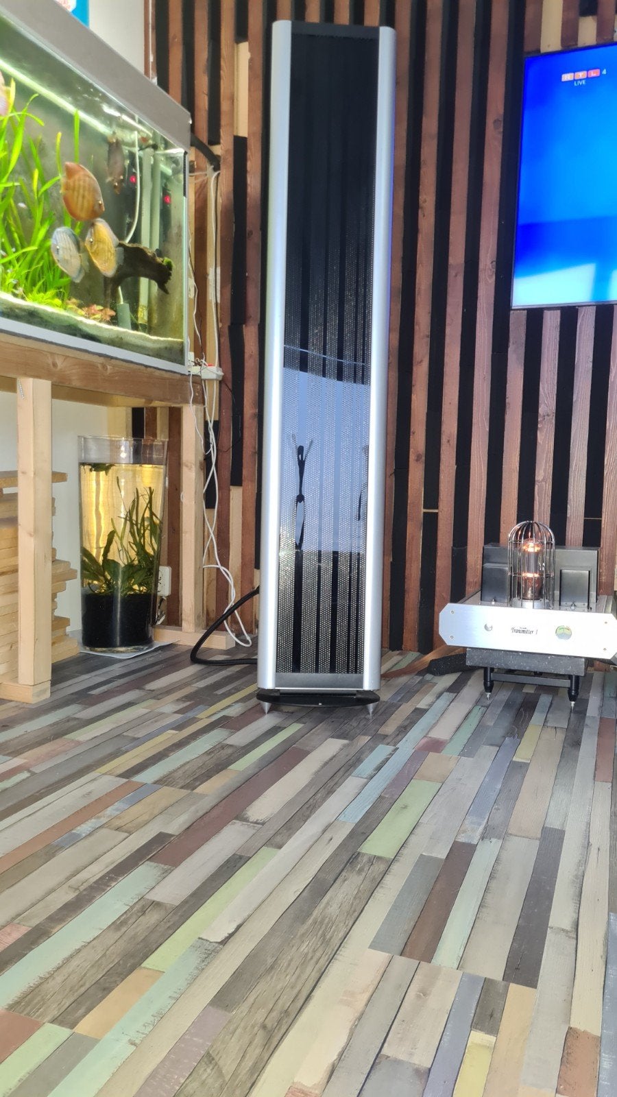 Final Model 7 Elektrostaten Vloerstaande Luidsprekers, Ophalen, Zo goed als nieuw, Vloerstaande luidspreker, Overige merken