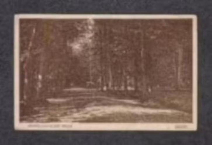 Assen Drenthe Hoofdlaan in het Bosch 1930., Ophalen of Verzenden, 1920 tot 1940, Gelopen, Drenthe