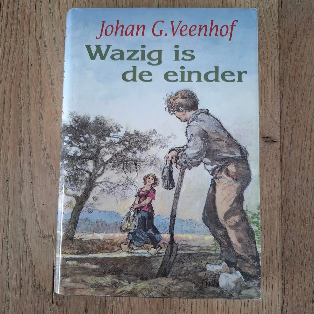 Wazig is de einder Joh.g.veenhof g veenhof, Boeken, Ophalen of Verzenden, Zo goed als nieuw