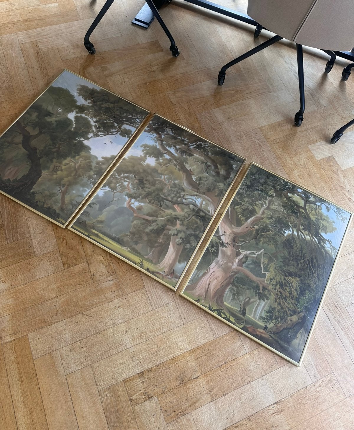 Drieluik/set van 3 posters (bos) in 50x70 gouden lijsten, Ophalen, Zo goed als nieuw, Rechthoekig