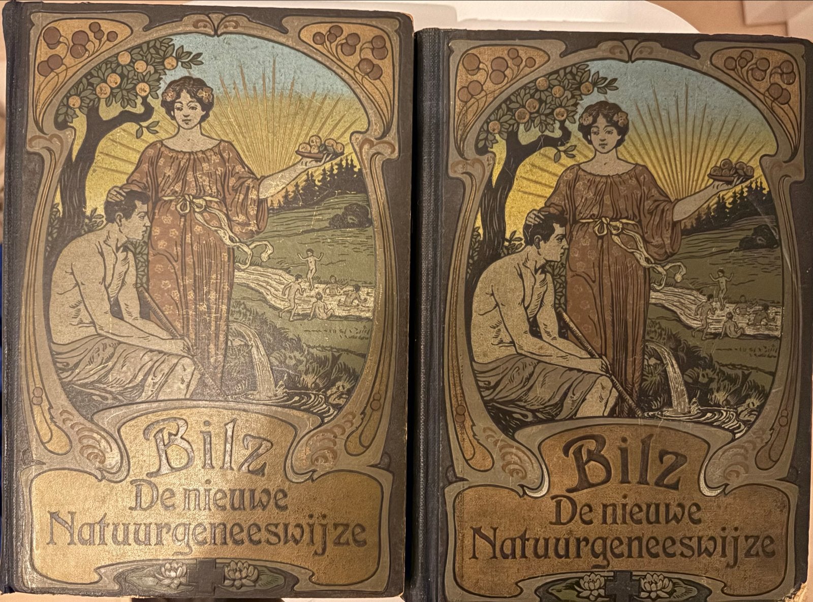 Bilz De Nieuwe Natuurgeneeswijze deel 1 & 2, Ophalen of Verzenden, Gelezen, Kruiden en Alternatief