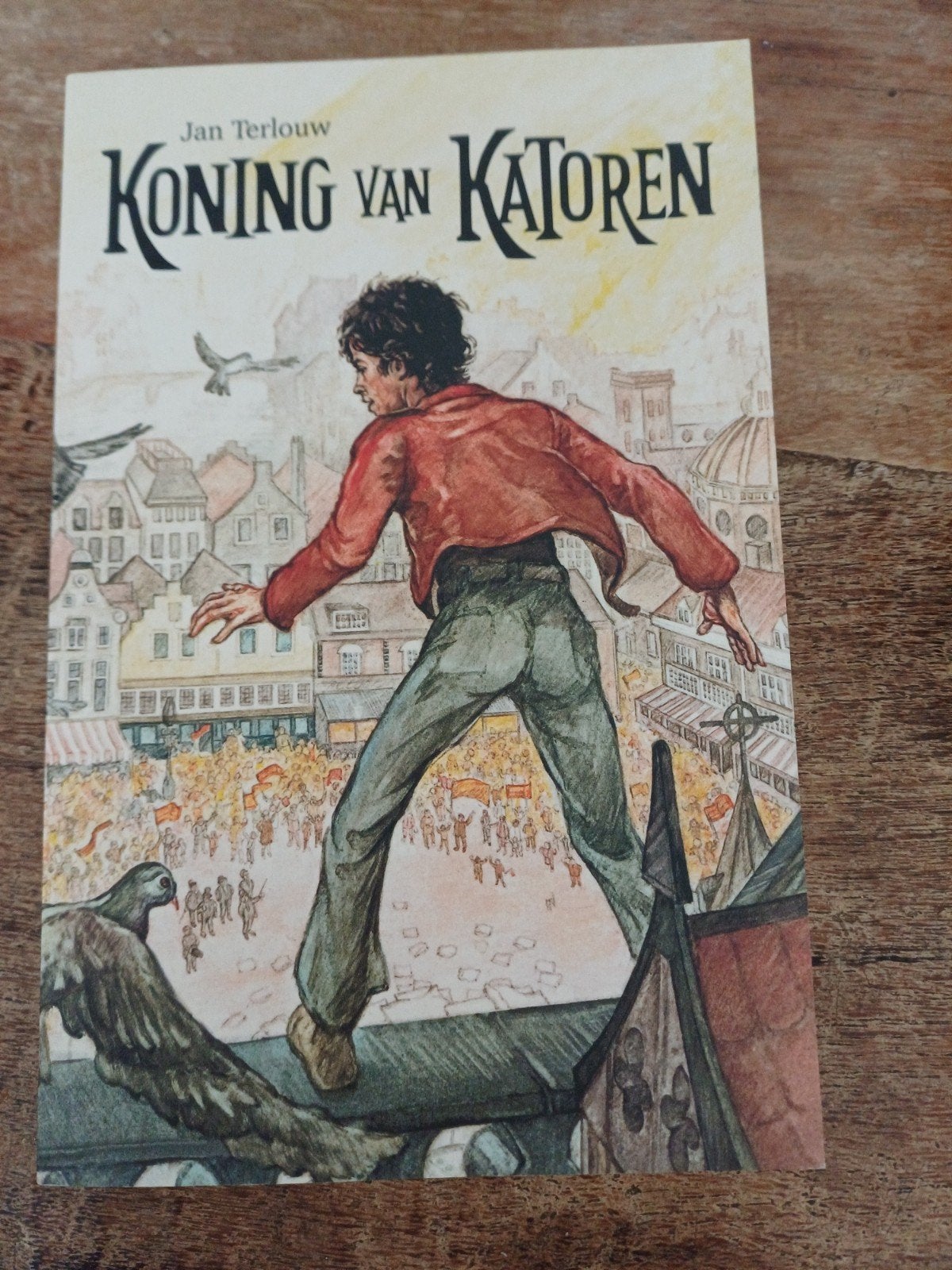 Jan Terlouw - Koning van Katoren, Boeken, Ophalen of Verzenden, Zo goed als nieuw, Jan Terlouw
