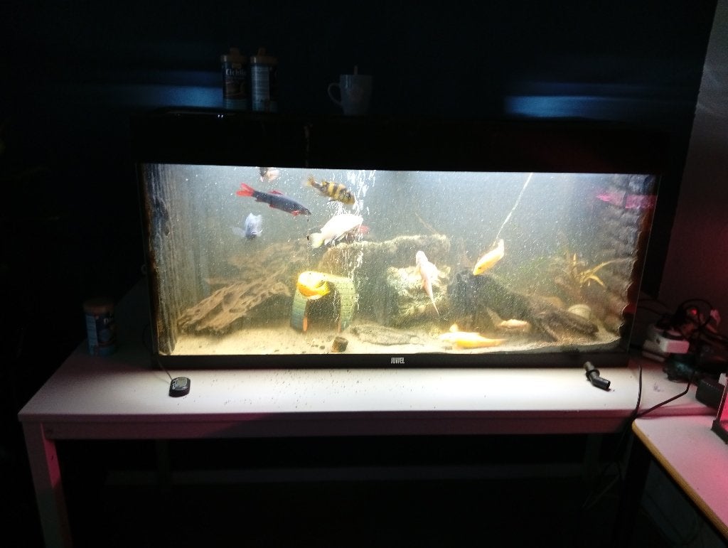 aquarium, Gebruikt, Gevuld zoetwateraquarium, Juwel, Ophalen