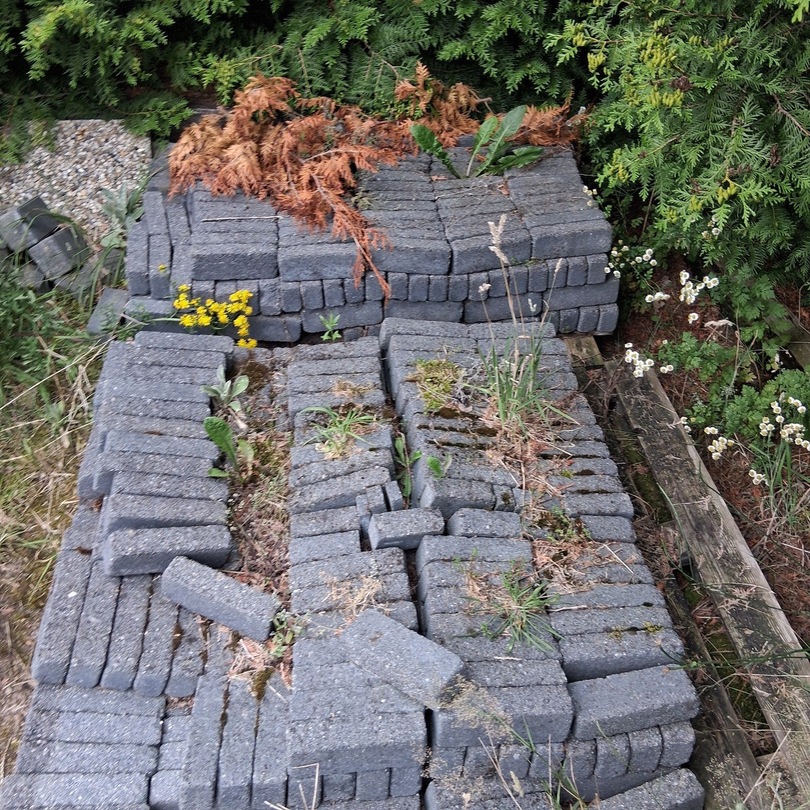 Blauwe waaltjes 5x20 cm - ca. 7m² gratis, Tuin en Terras, Gebruikt, Klinkers, Beton, 5 tot 10 m²