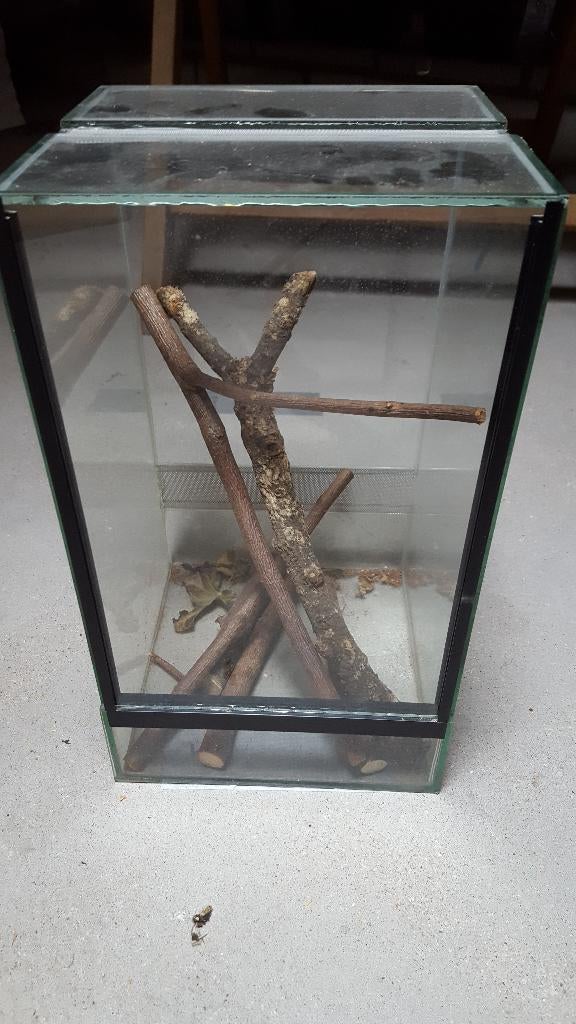 Kleine Volglas Terrariums / Terraria, Ophalen, Gebruikt, Terrarium of Paludarium