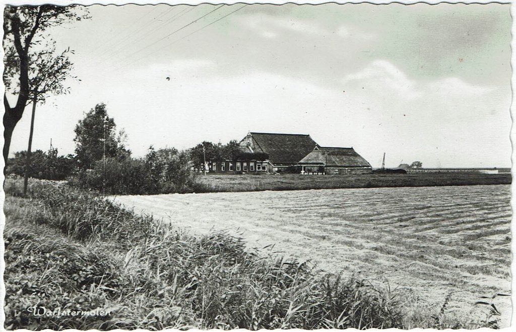 ansichtkaart Warfstermolen, Friesland, Ophalen of Verzenden, 1940 tot 1960, Gelopen, Friesland