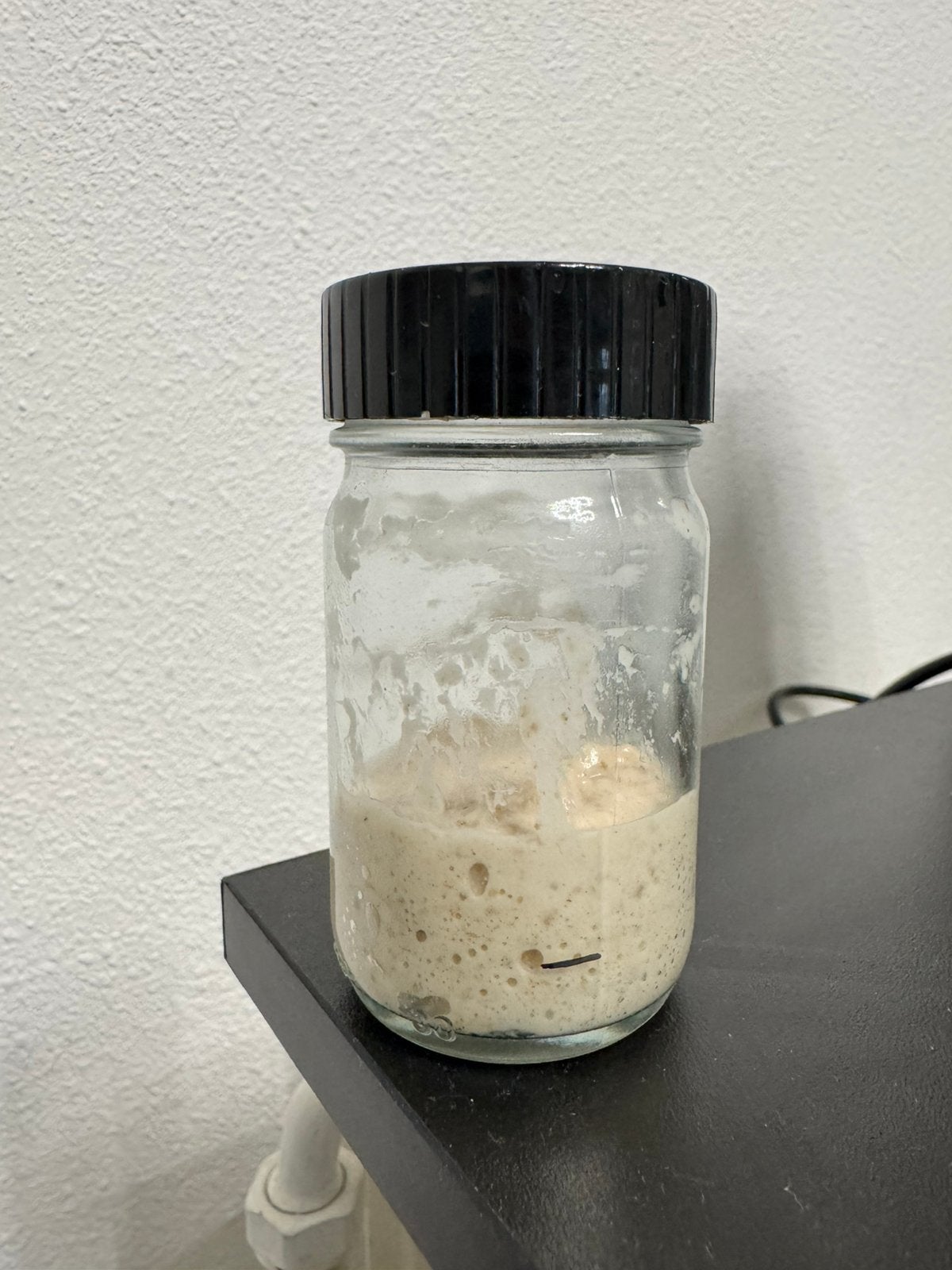 Zuurdesemstarter, Ophalen, Overige typen