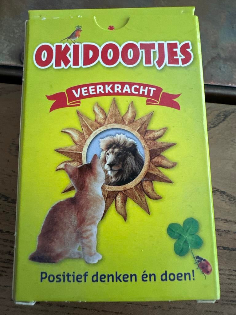 Lo van Beers - Okidootjes Veerkracht, Non-fictie, Ophalen of Verzenden, Zo goed als nieuw, Lo van Beers; Annemariet van Beers