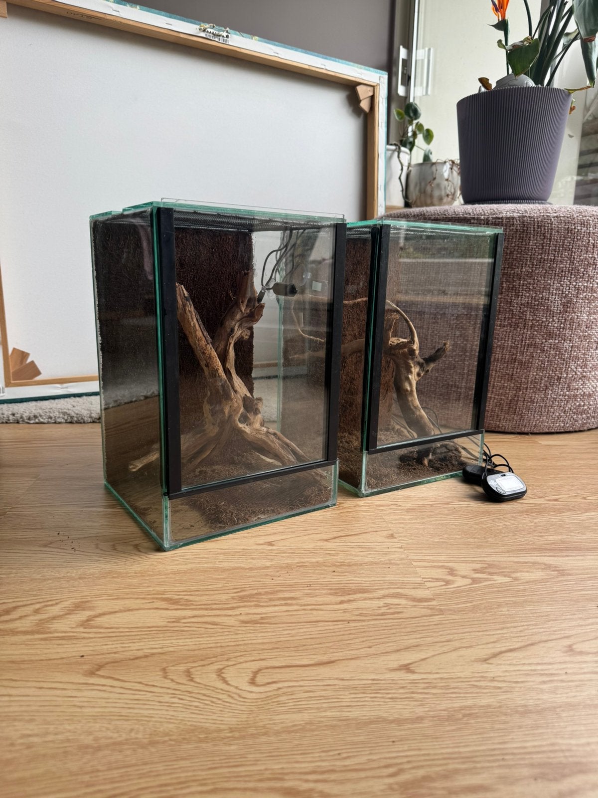 Terrarium (20x20x30cm) met thermometer en toebehoren 2 stuks, Dieren en Toebehoren, Ophalen, Zo goed als nieuw, Terrarium of Paludarium