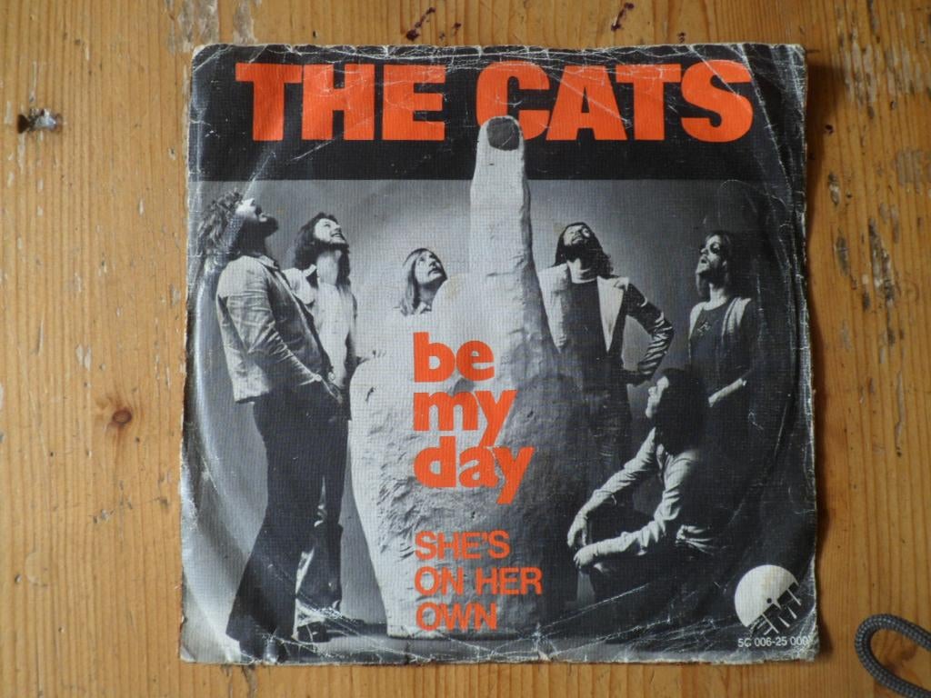 Cats, Cd's en Dvd's, Vinyl Singles, Ophalen of Verzenden, Gebruikt, Pop