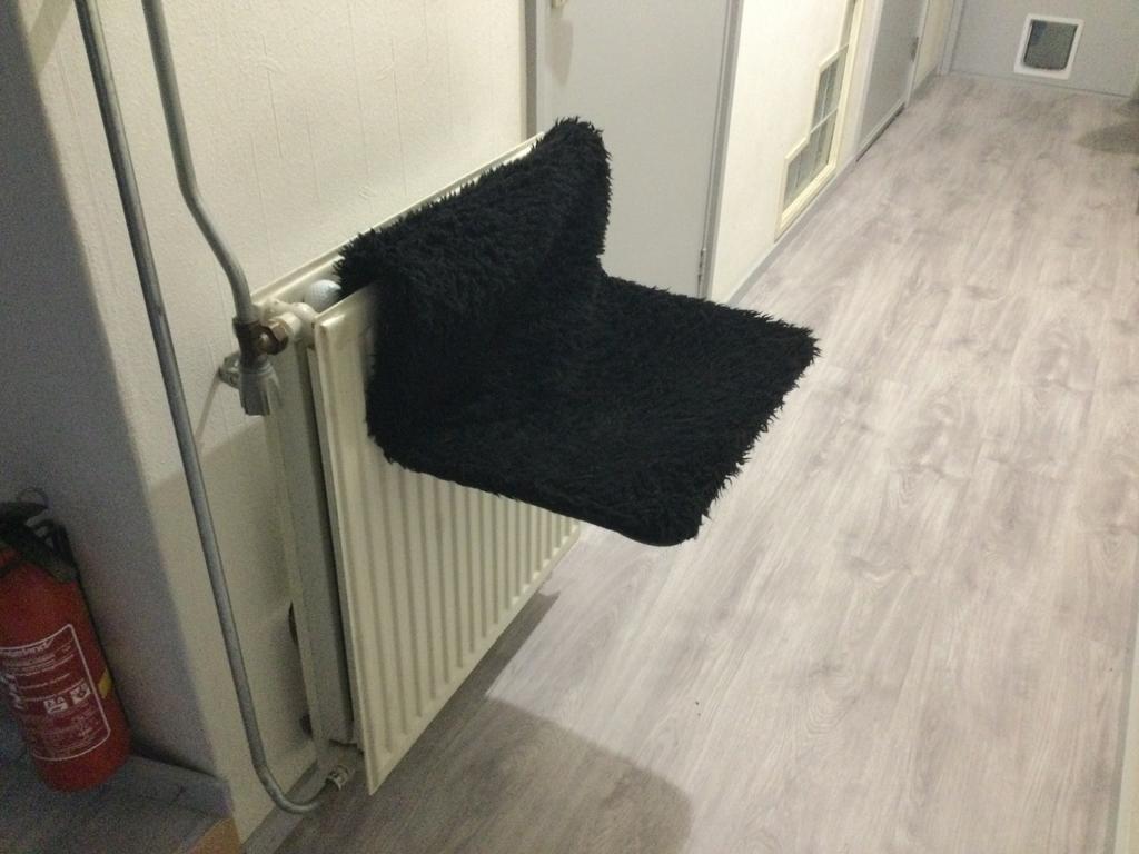 Hangmand, Dieren en Toebehoren, Kattenmanden, Ophalen, Gebruikt, Pluche
