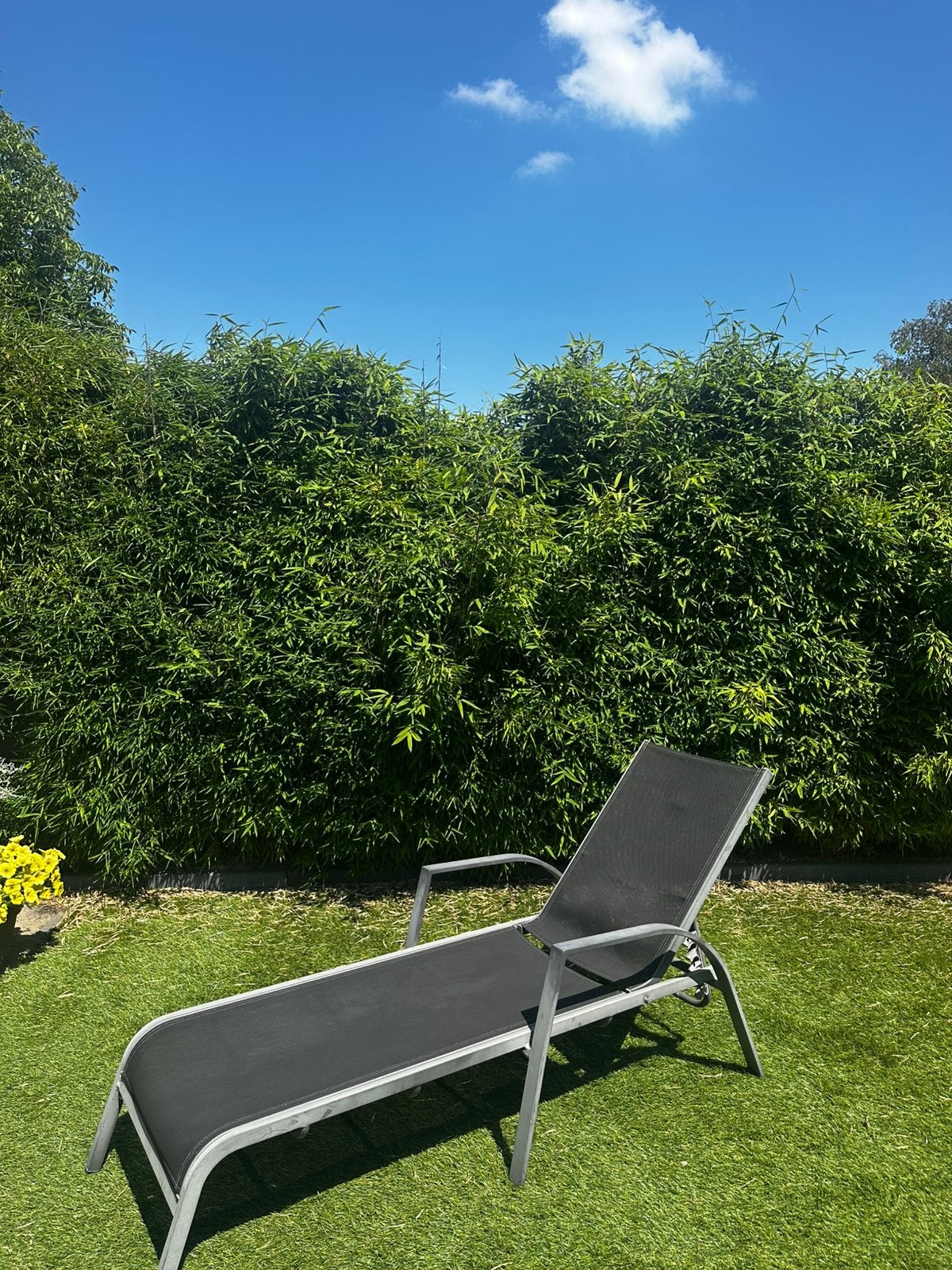 Ligbed Tuin, Ophalen of Verzenden, Zo goed als nieuw, Kunststof, Verstelbaar