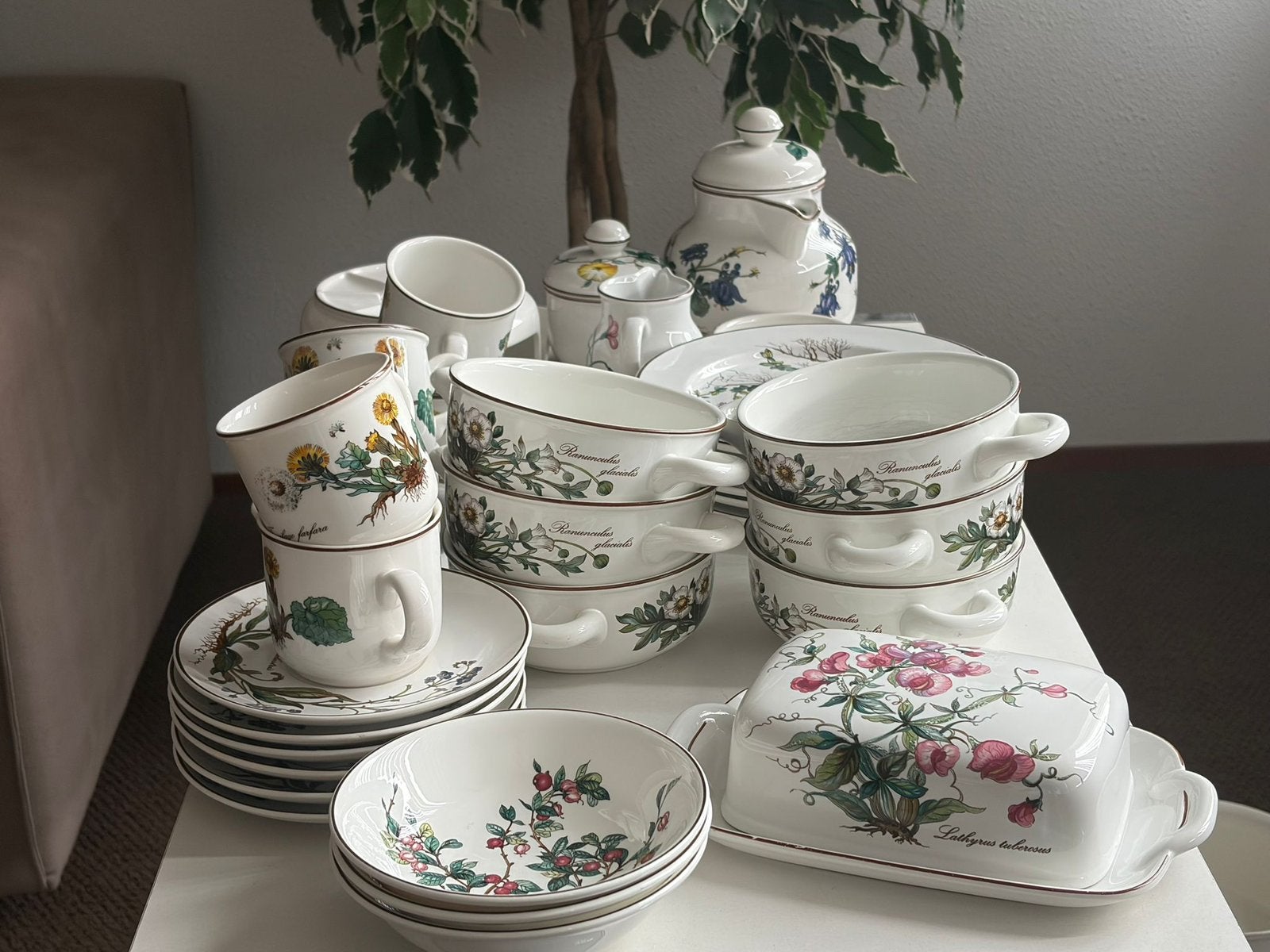 Botanica Villeroy & Boch servies, Ophalen of Verzenden, Zo goed als nieuw, Porselein, Overige stijlen