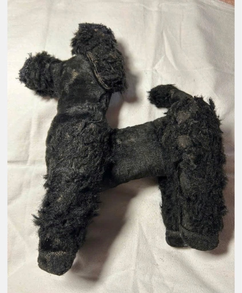 Grote Vintage Steiff knuffel poedel “Snobby” jaren ‘50-‘60, Ophalen of Verzenden