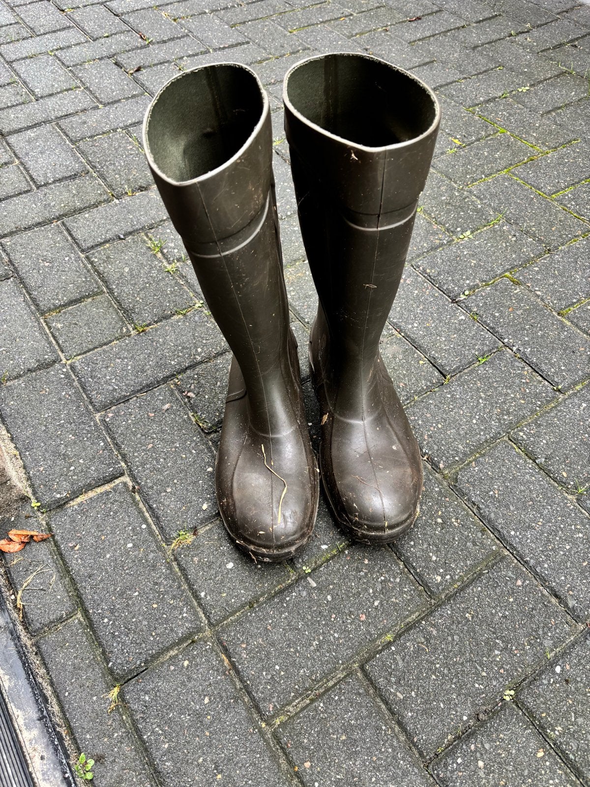 Dunlop Regenlaarzen - Maat 44, Ophalen, Gedragen, Overige kleuren, Regenlaarzen