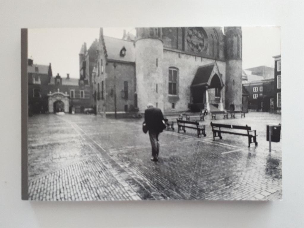 Haagse Helden - Roel Rozenburg, Ophalen of Verzenden, Zo goed als nieuw, Overige onderwerpen