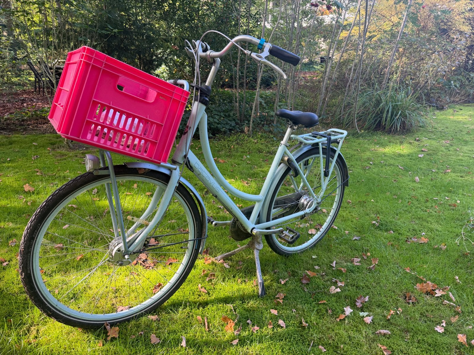 Batavus Diva met krat, framemaat 50, 50 tot 53 cm, Ophalen, Gebruikt, Batavus
