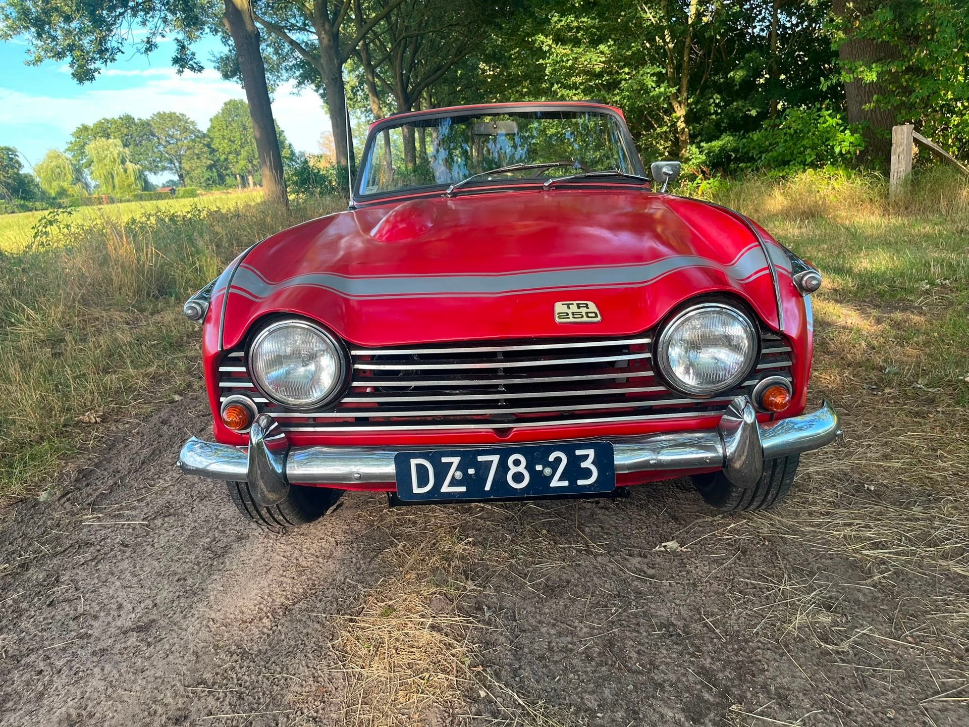 Triumph TR250 Gereviseerde motor, foto 11