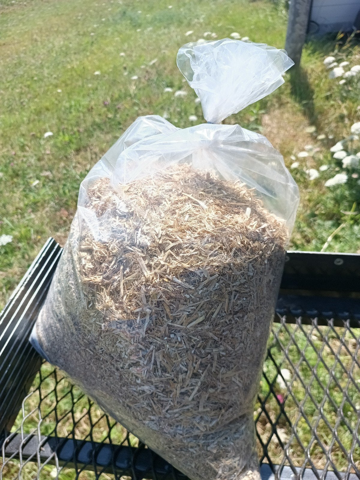 Gehakseld Tarwestro, 1kg per zak, Dieren en Toebehoren, Dierenvoeding, Ophalen