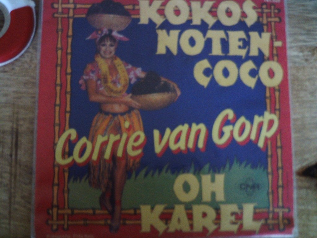 corrie van gorp - kokos noten coco 14jun, Fotohoes, Ophalen of Verzenden, Zo goed als nieuw, Nederlandstalig
