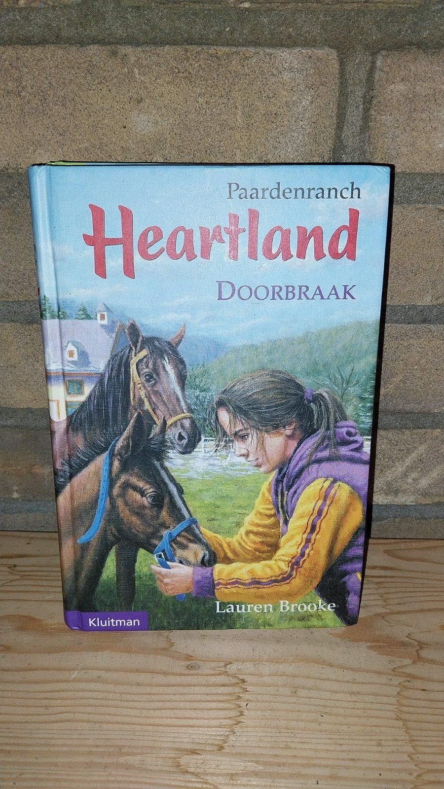 Paardenranch Heartland: Doorbraak - Lauren Brooke, Ophalen of Verzenden