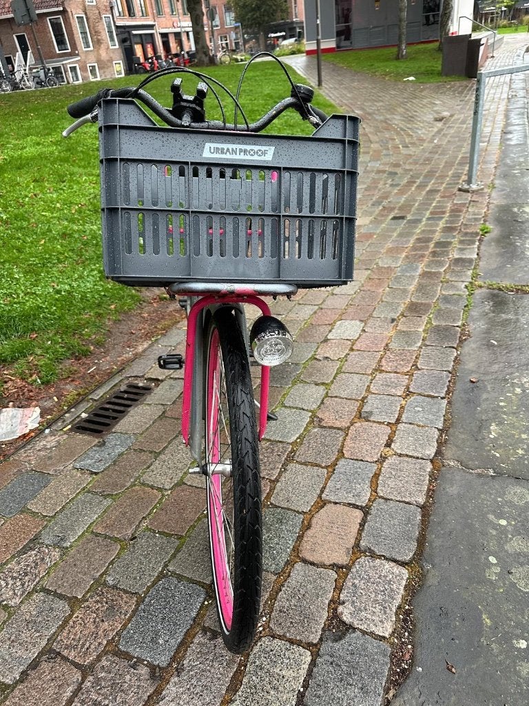 Foto 5 van Batavus city bike with pink wheels, very good condition