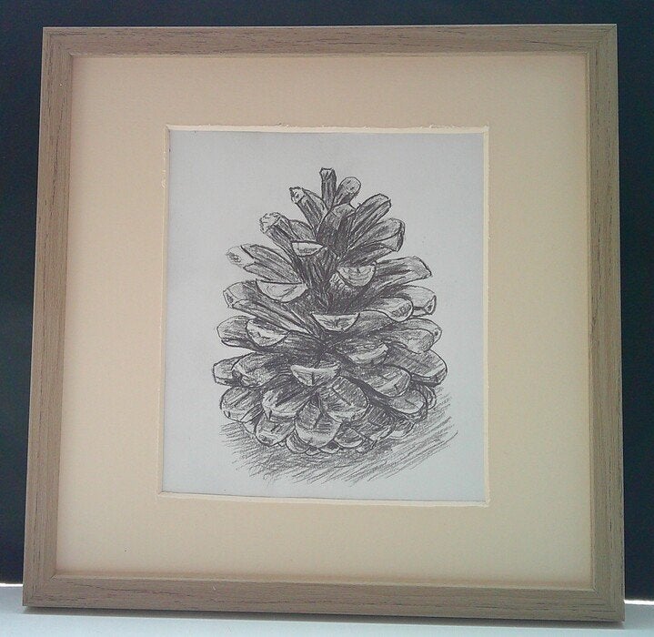 Dennenappel, Ophalen of Verzenden, Tekening, Met kunstenaarsmerk