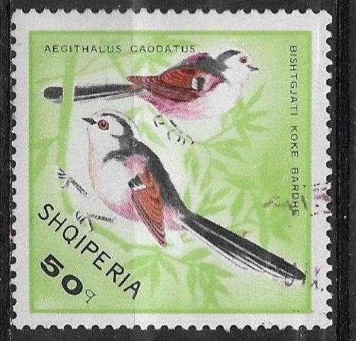 Albanië 1968 mi.1324 vogel STAARTMEES, Verzenden, Overige landen, Gestempeld