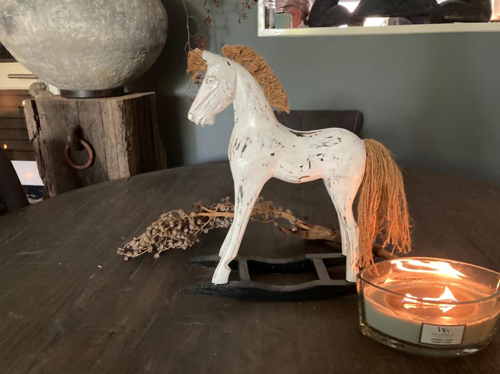 Mooi sober landelijk paard decoratie, Ophalen of Verzenden, Zo goed als nieuw