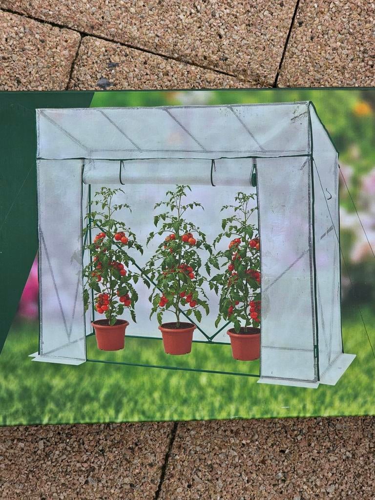 Kweekkas, tomatenkas broeikas, Ophalen of Verzenden, Nieuw, Aluminium