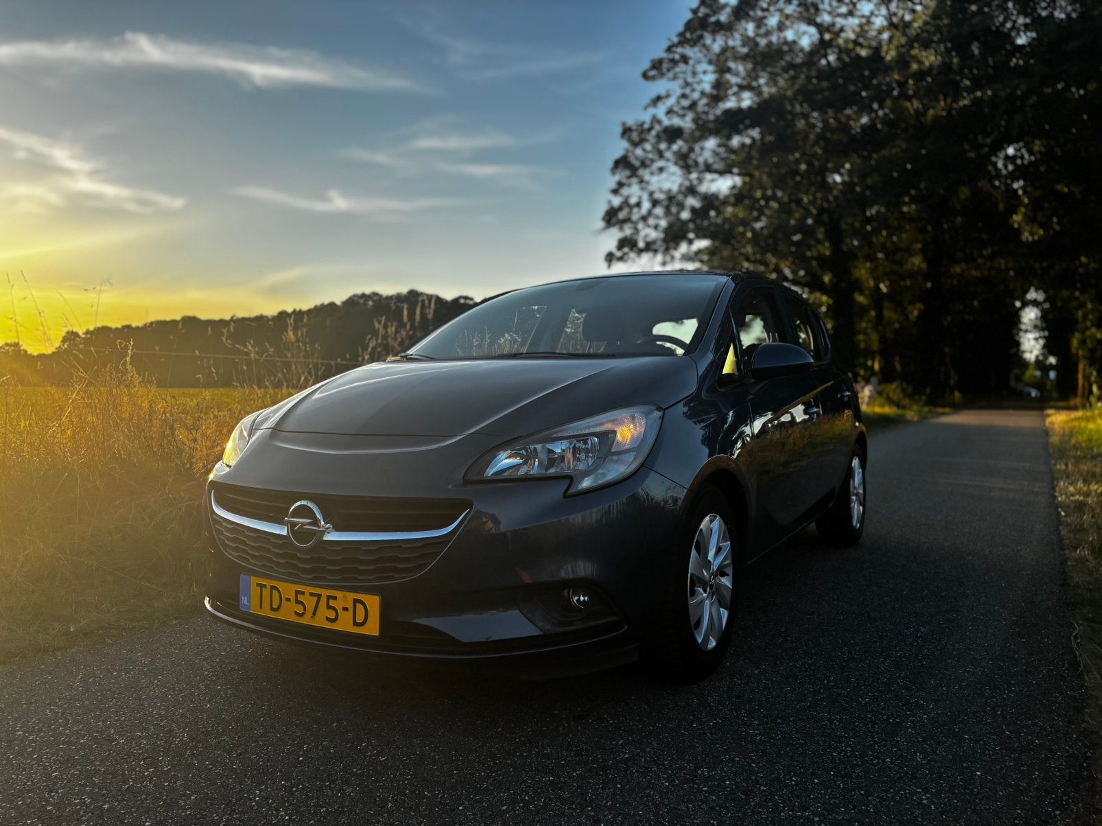 Opel Corsa 1.2 16V Ecoflex 5D 2016 Blauw, Voorwielaandrijving, Zwart, Blauw, 1229 cc
