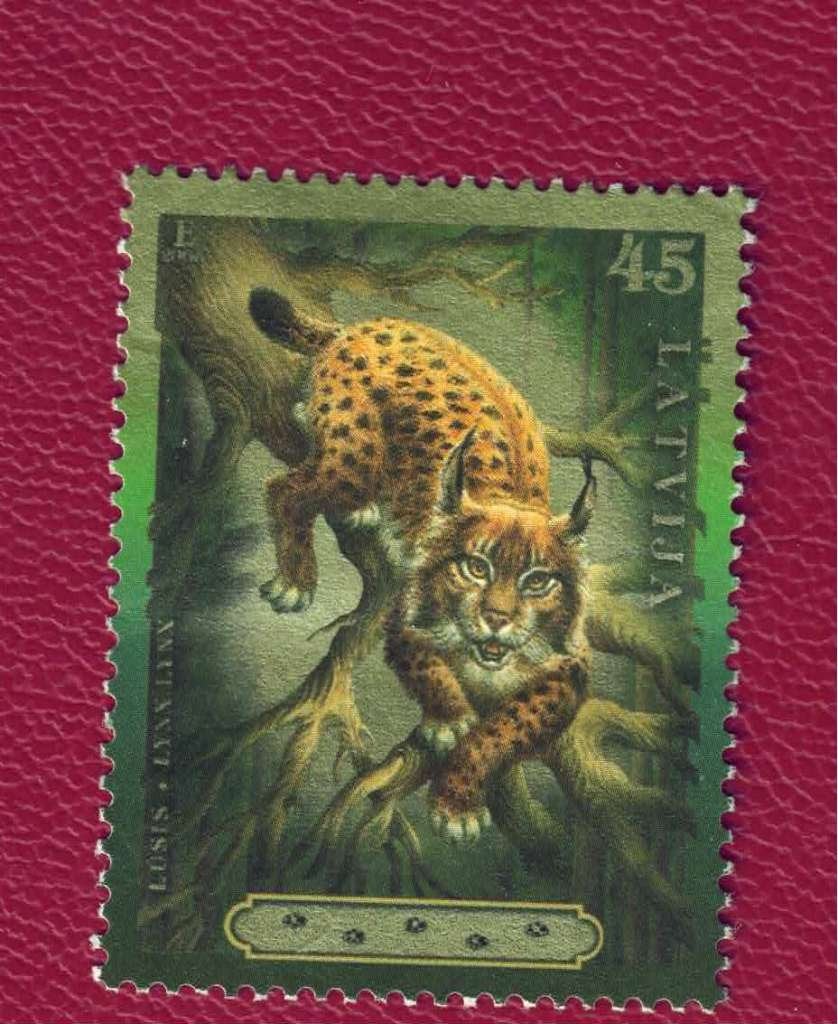 Fauna - Katachtigen - Latvia (Letland) - Lynx -gebr, Ophalen of Verzenden, Gestempeld, Dier of Natuur