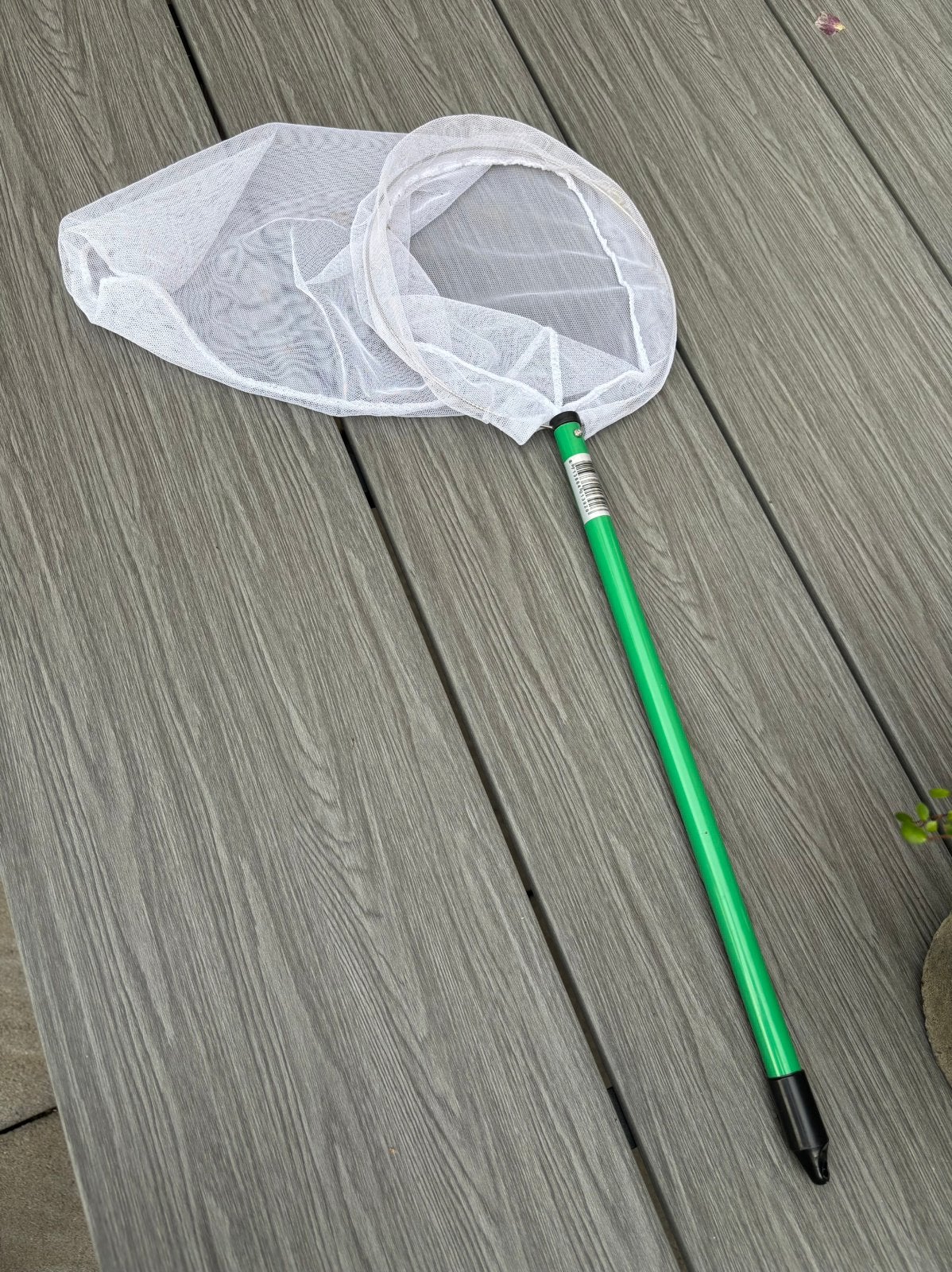 Vangnet voor vogels, Ophalen of Verzenden, Zo goed als nieuw, Kooi-accessoires