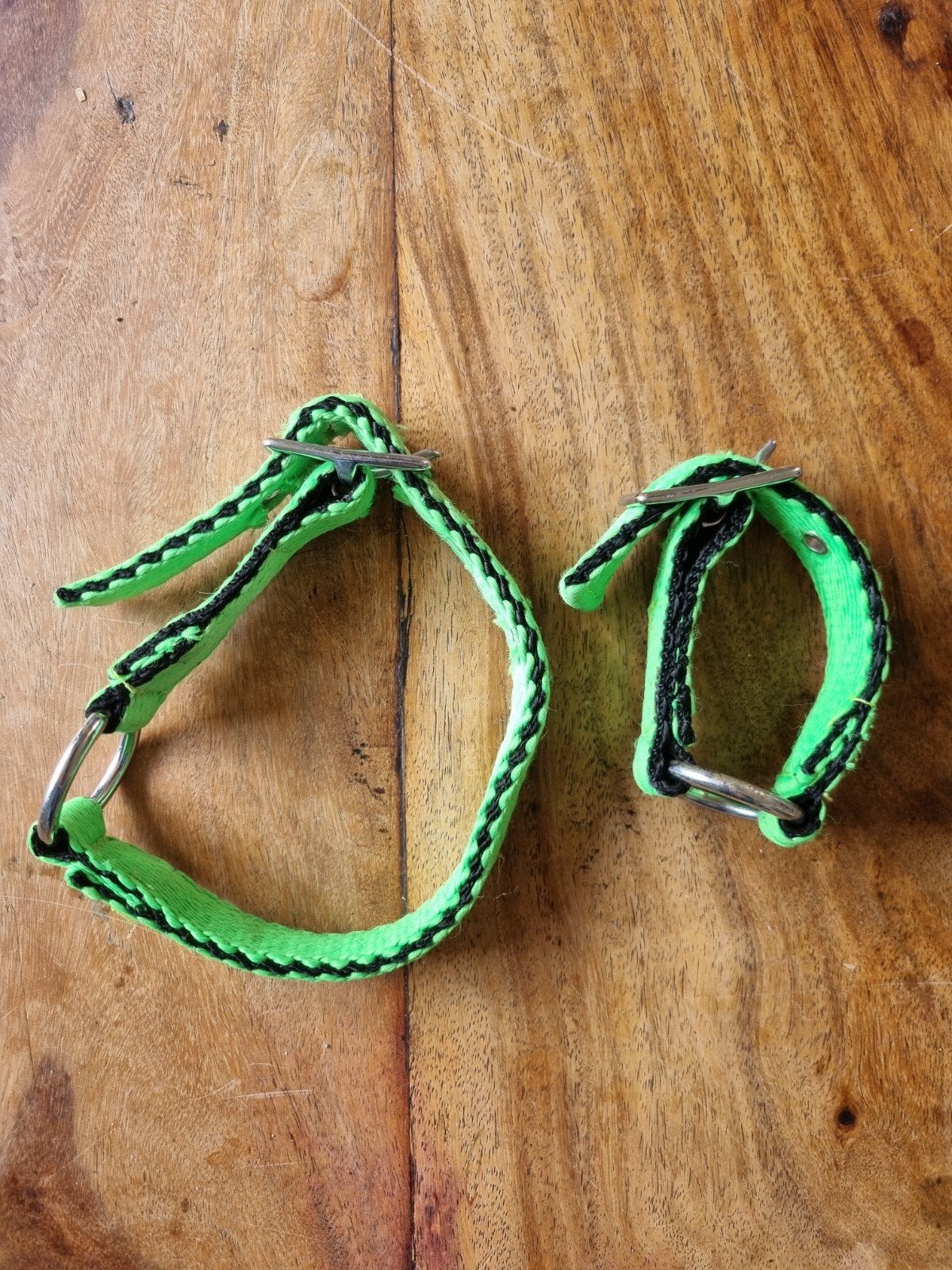 Hondenriemen, Dieren en Toebehoren, Ophalen of Verzenden, Nieuw