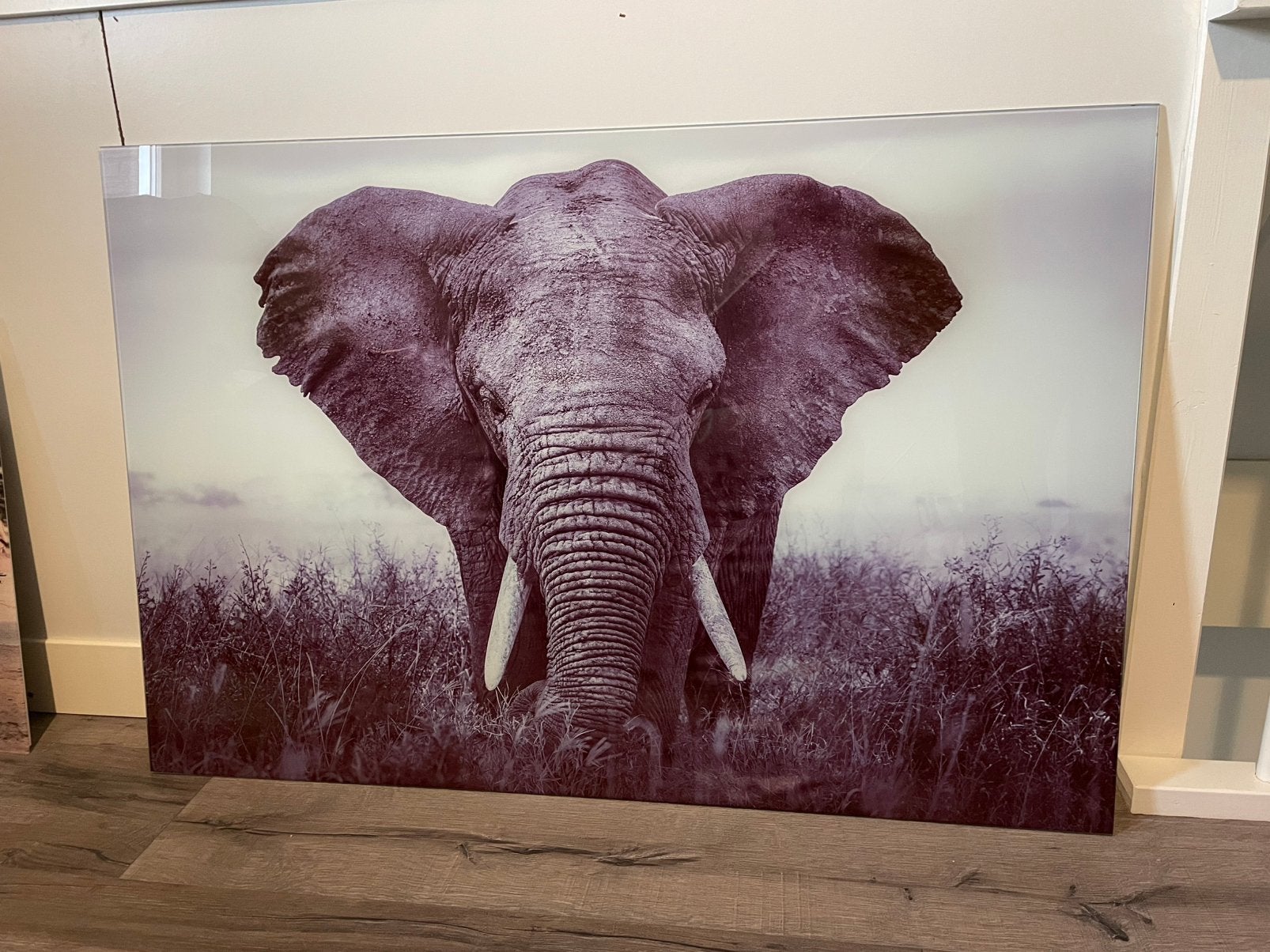 Glasschilderij olifant 120x80, Ophalen, Zo goed als nieuw, Minder dan 50 cm, Schilderij