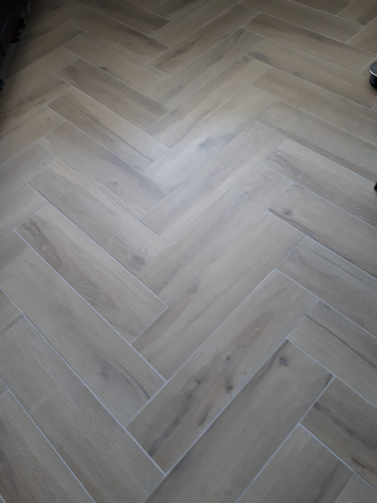 Honey- grey  plavuizen, Ophalen, 30 cm of meer, Steen of Klei, Nieuw