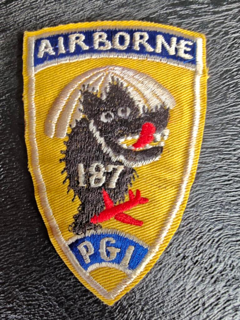187th Airborne Infantry Regiment Patch, Ophalen of Verzenden, Landmacht, Amerika, Embleem of Badge