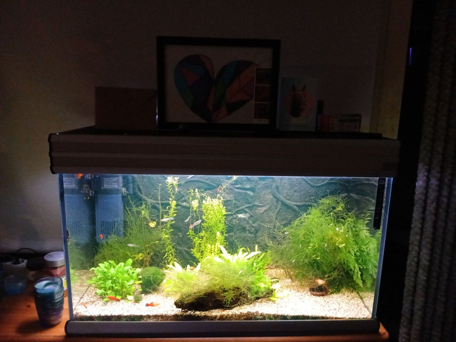 Aqualantis aquarium gevuld, Dieren en Toebehoren, Vissen | Aquaria en Toebehoren, Ophalen, Gebruikt, Aquatlantis, Gevuld zoetwateraquarium