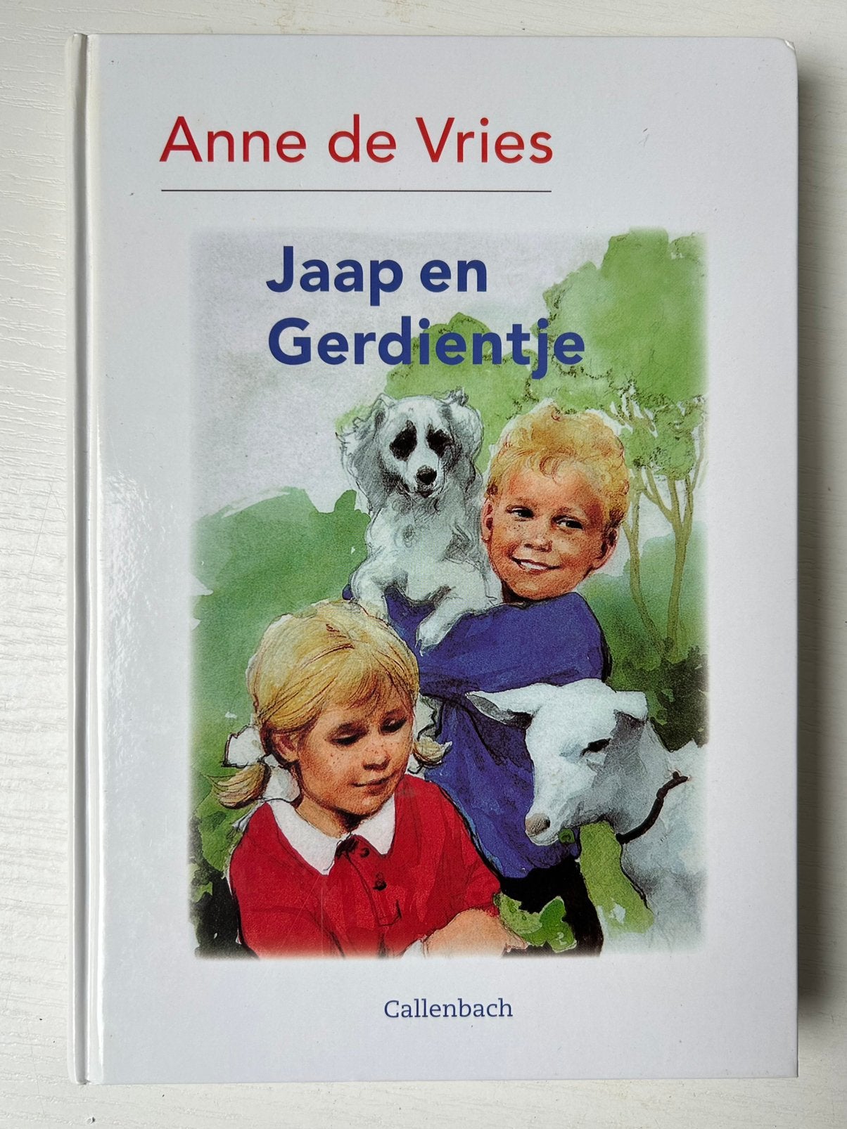 A. de Vries - Jaap en Gerdientje, Gelezen, Fictie algemeen, A. de Vries, Ophalen of Verzenden