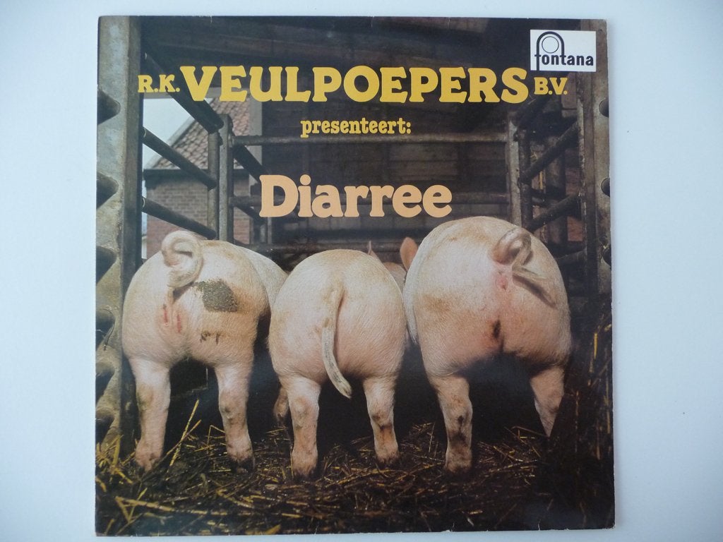 lp R.K. DE VEULPOEPERS - DIAREE - Fontana Records, 1978, Cd's en Dvd's, Vinyl | Nederlandstalig, Gebruikt, Overige genres, Ophalen of Verzenden