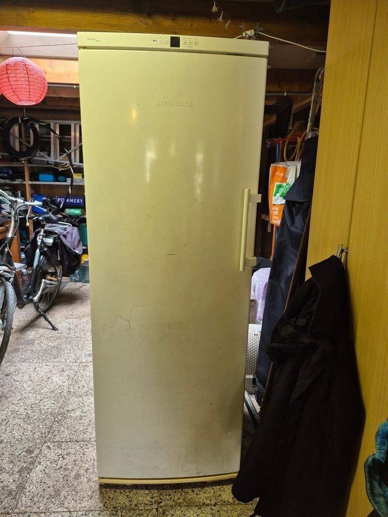 Gratis defecte vrieskast, Witgoed en Apparatuur, Ophalen, 200 liter of meer, 60 cm of meer, Met aparte vriezer